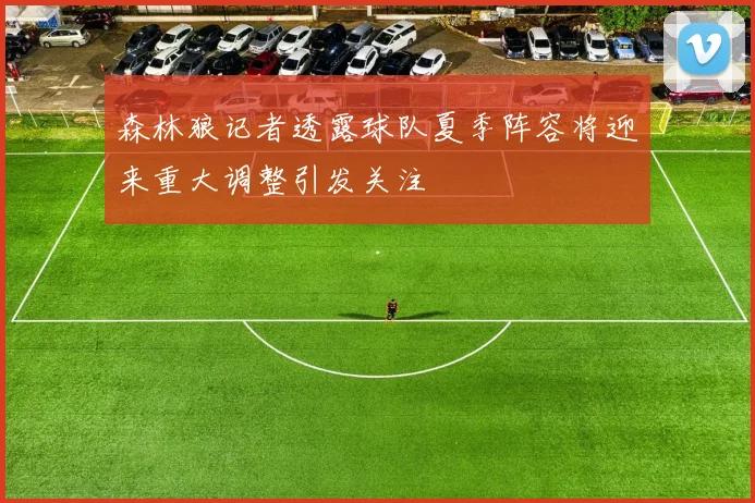 森林狼记者透露球队夏季阵容将迎来重大调整引发关注