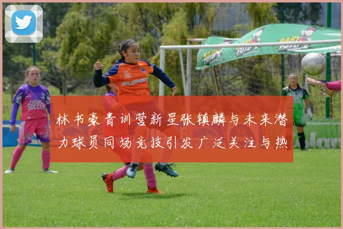 林书豪青训营新星张镇麟与未来潜力球员同场竞技引发广泛关注与热议