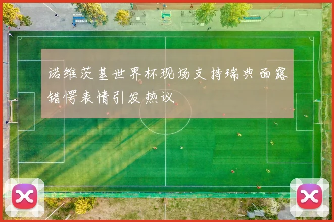 诺维茨基世界杯现场支持瑞典面露错愕表情引发热议